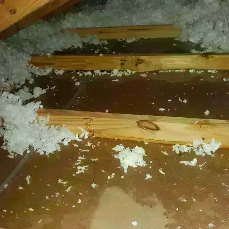 Attic Water Damage in Bangs, TX